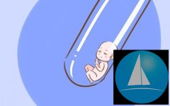 试管婴儿和正常婴儿有什么区别