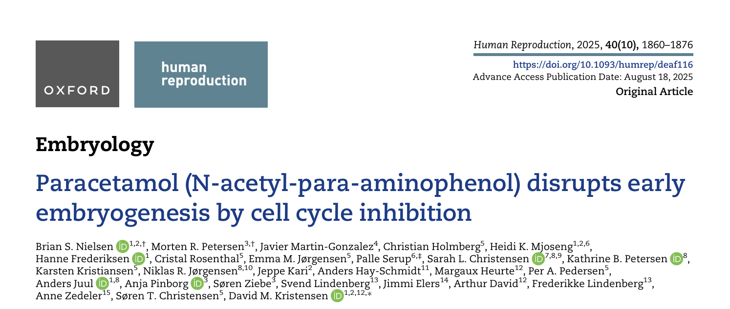 孕期退热常用药对乙酰氨基酚，最新研究提醒：