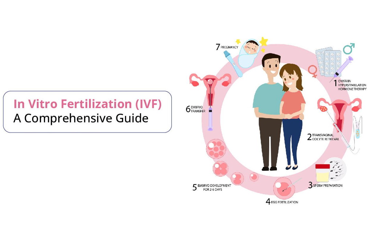 试管不迷茫：普通人易懂的好孕攻略