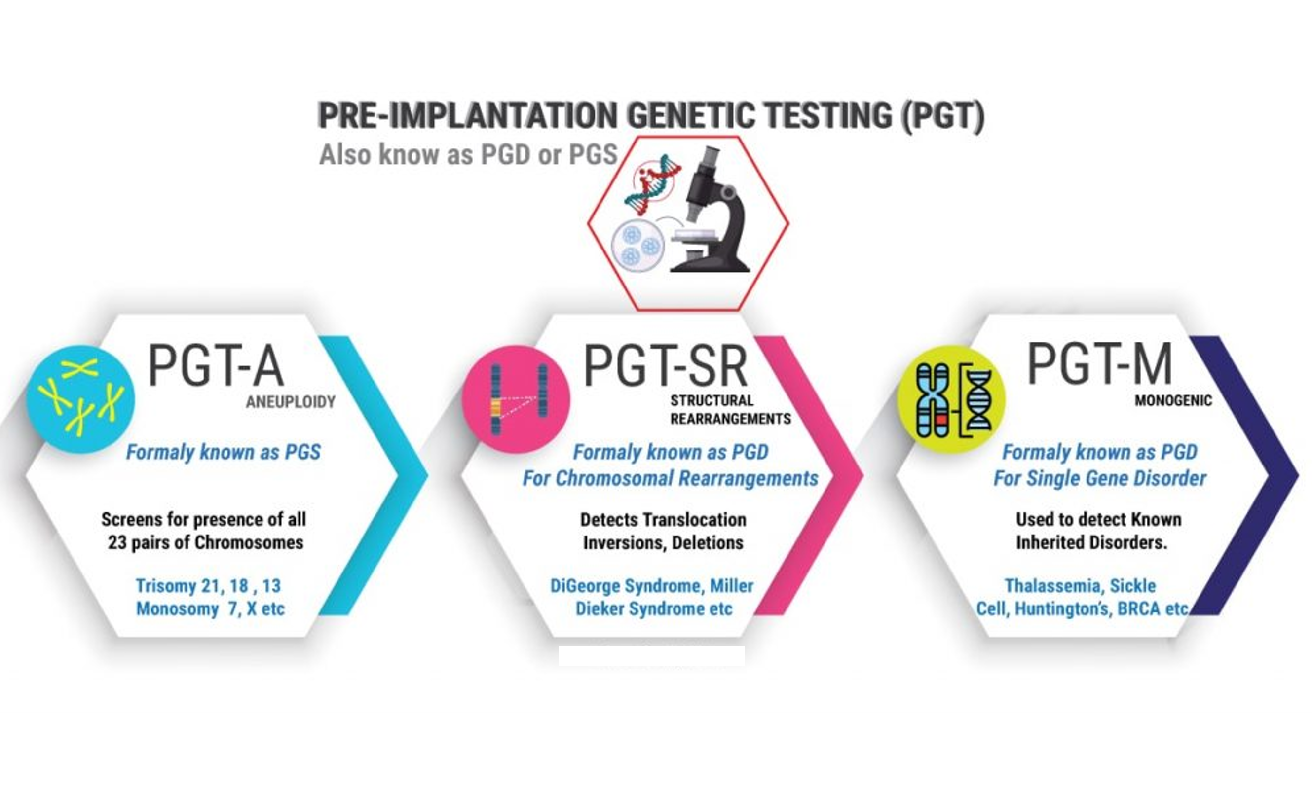 胚胎分级与PGT：核心区别与价值解析