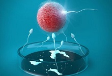 试管婴儿胚胎移植需要什么样的子宫内膜？