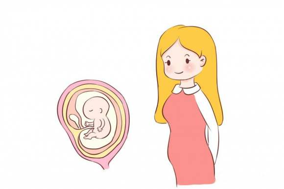 体外受精-胚胎移植技术-IVF 体外受精-胚胎移植技术-IVF