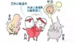 试管促排：帮你读懂 “多养卵” 的那些事