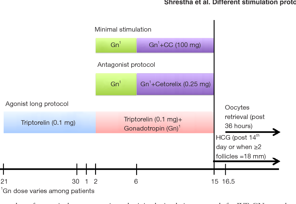 吉尔吉斯斯坦试管婴儿：4种主流促排方案，看懂