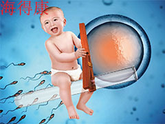www.headkonbao.com
