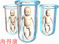 www.headkonbao.com